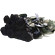Black roses. Order lovely black roses. Minsk