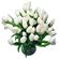 White Tulips. Tulips are delicated and refined flowers that symbolize spring and romance. They are ususally available since February till April. At other times during the year their stock may be limited.. Minsk