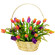 Spring rainbow. Classic spirng flower arrangement of mixed color tulips in a basket.. Minsk