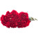 Red Carnations. Minsk